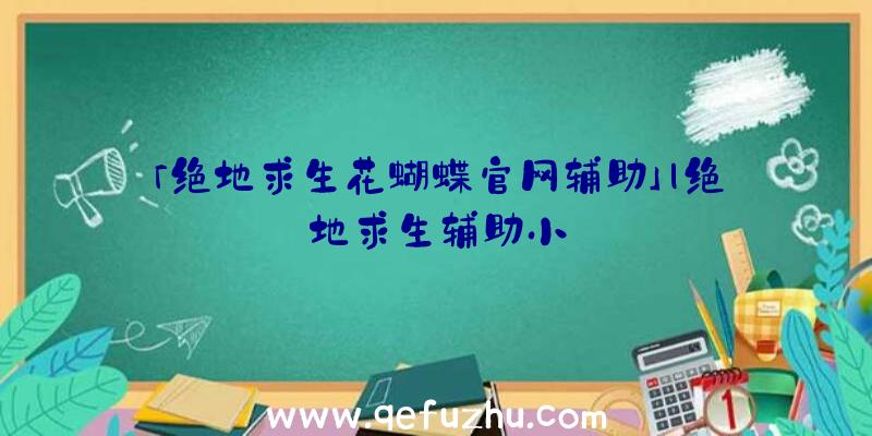 「绝地求生花蝴蝶官网辅助」|绝地求生辅助小